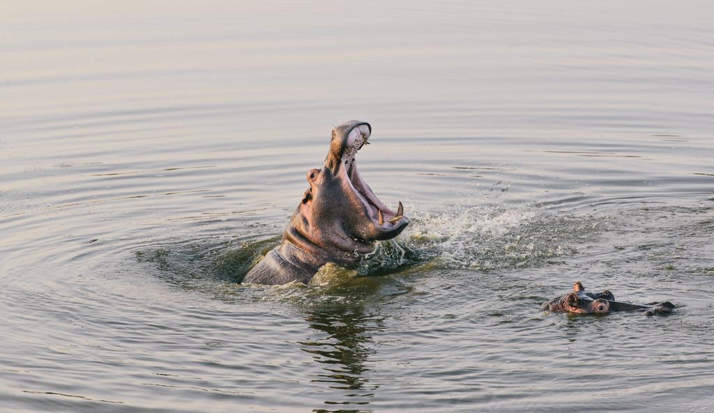 Monate Game Lodge Modimolle Luaran gambar